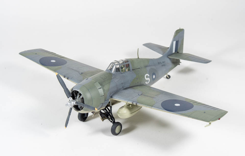 This image has an empty alt attribute; its file name is wildcat5.jpg